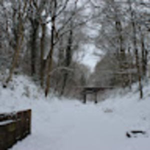 Meet your Posher, Ian